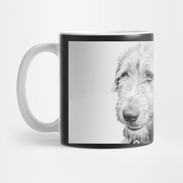 Wolfhound puppy by LaurieMinor